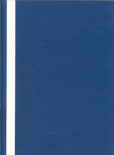 Picture of FLAT FILE DARK BLUE A4